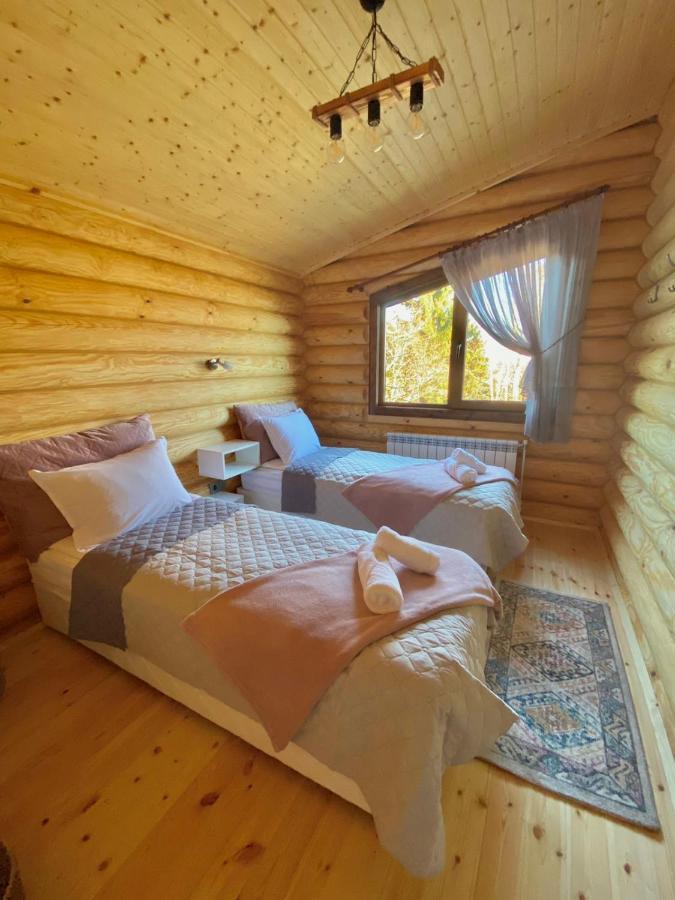 Вила Брезите Pamporovo Exteriör bild