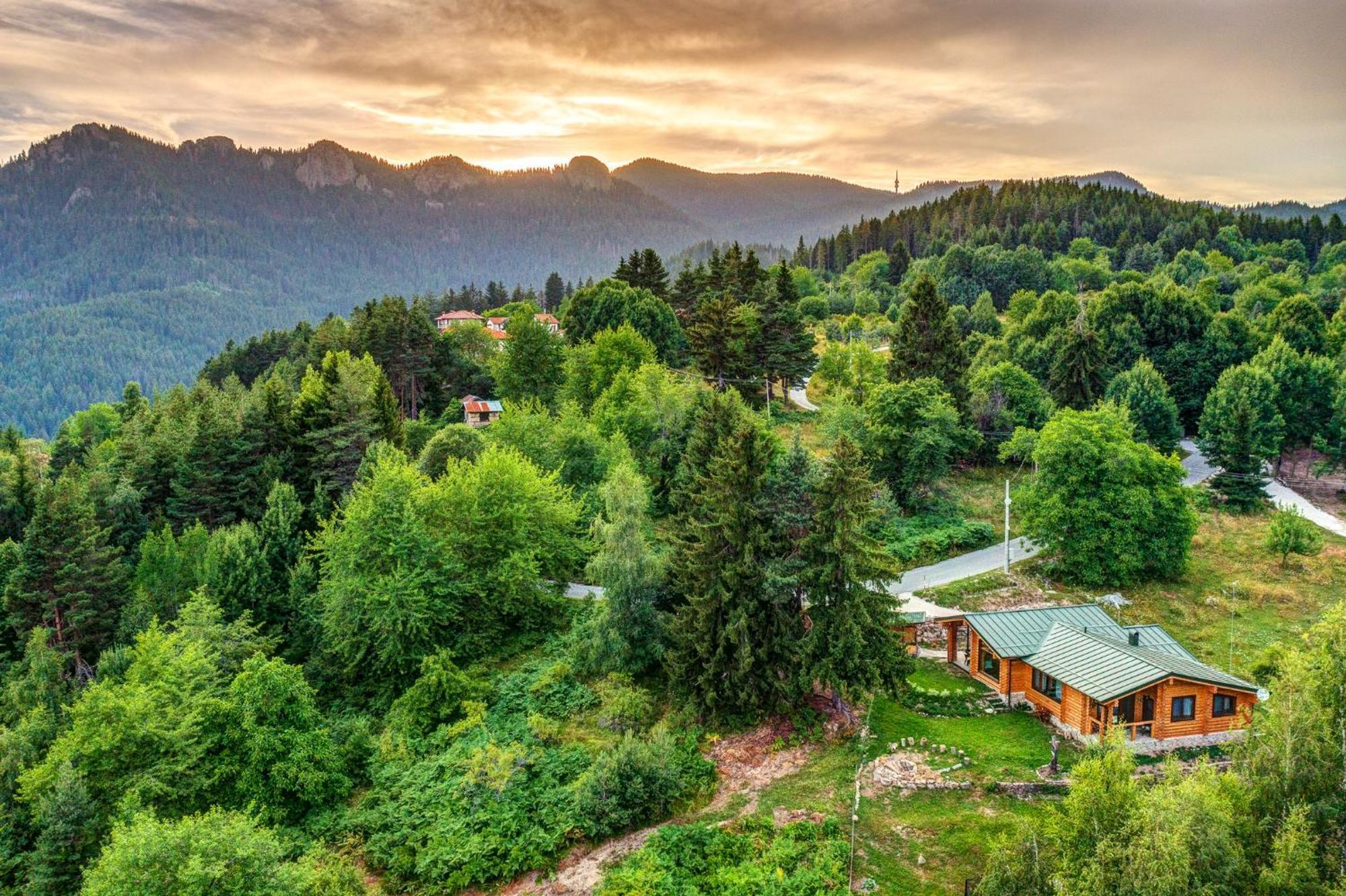 Вила Брезите Pamporovo Exteriör bild
