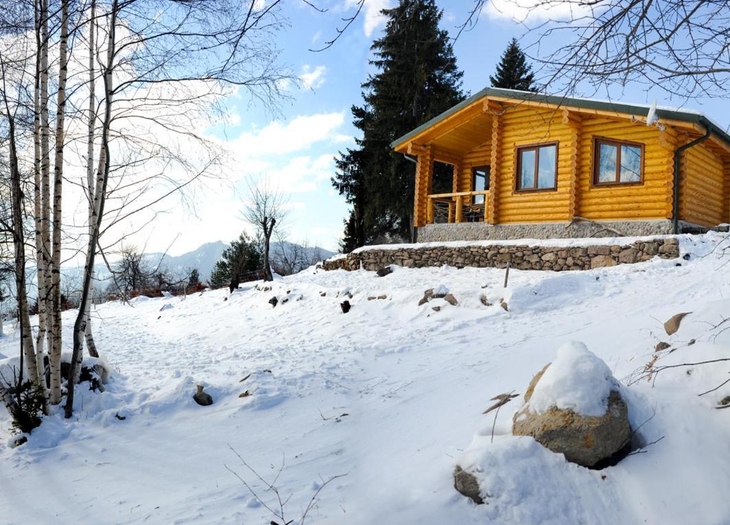 Вила Брезите Pamporovo Exteriör bild