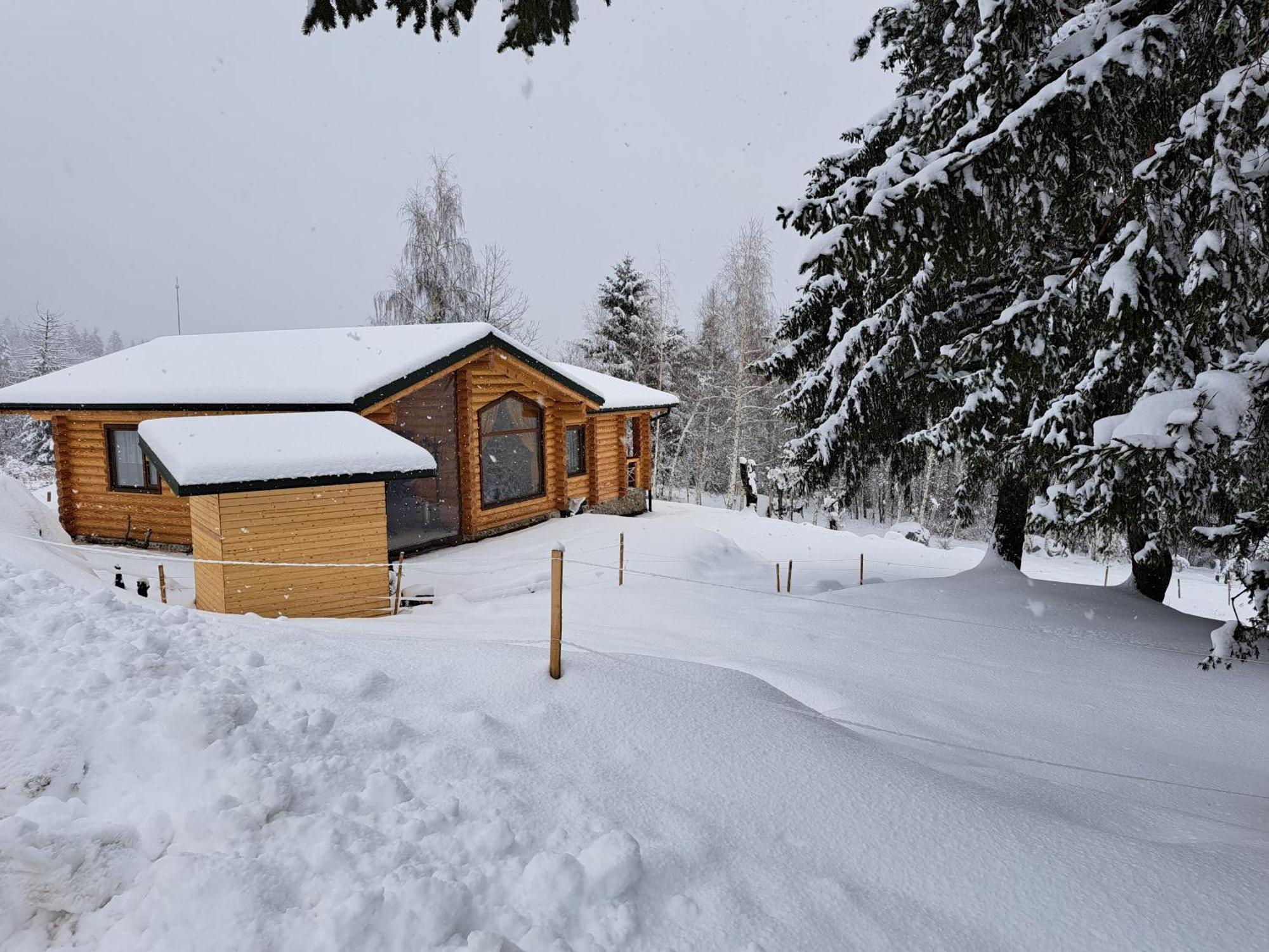 Вила Брезите Pamporovo Exteriör bild
