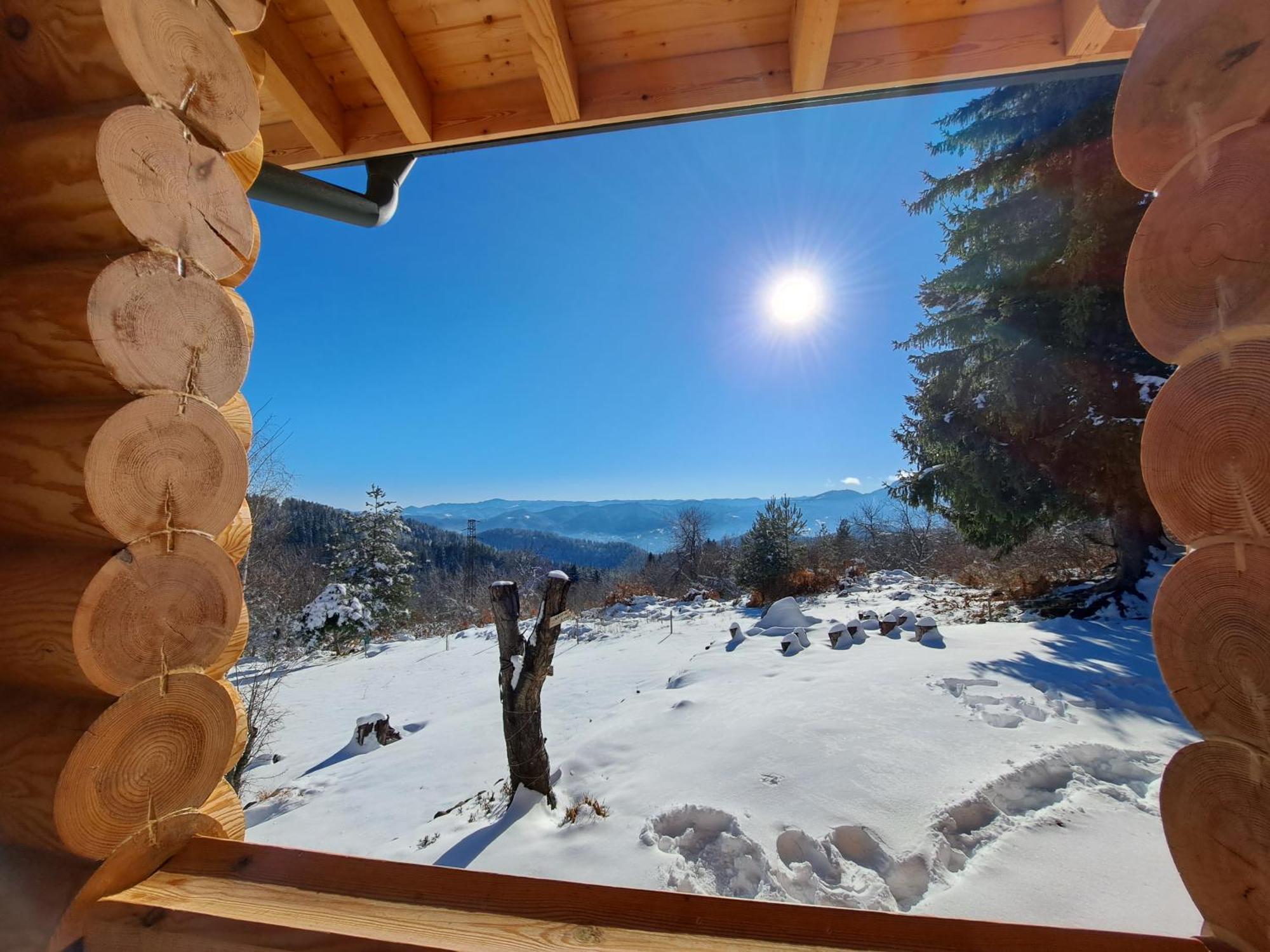 Вила Брезите Pamporovo Exteriör bild